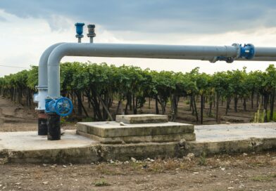 Watering pipes and vineyard.